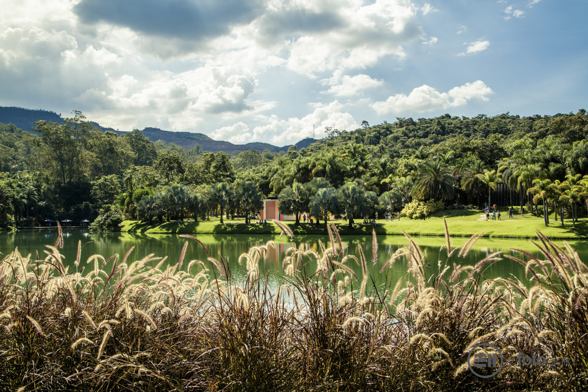 INHOTIM - Museu de Arte Contemporânea