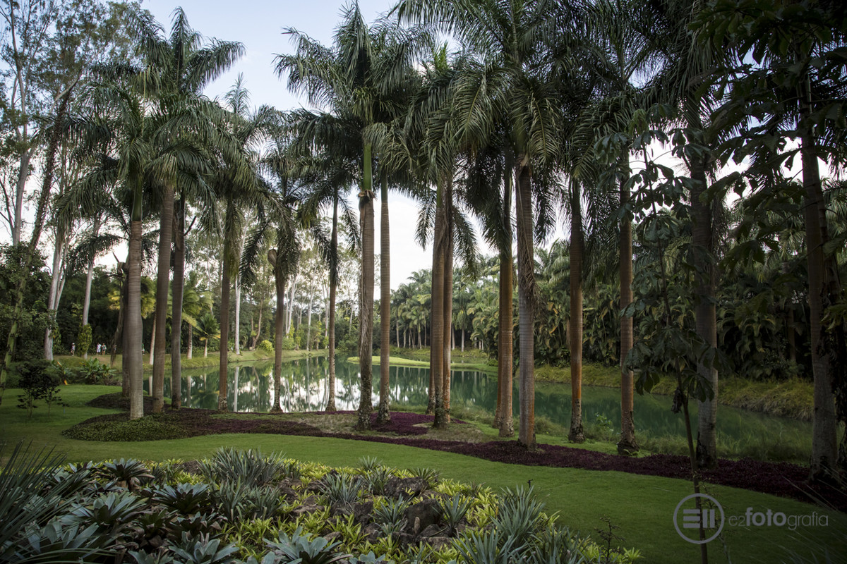 INHOTIM - Museu de Arte Contemporânea