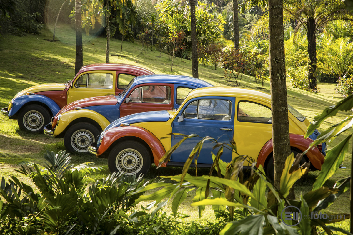 INHOTIM - Museu de Arte Contemporânea