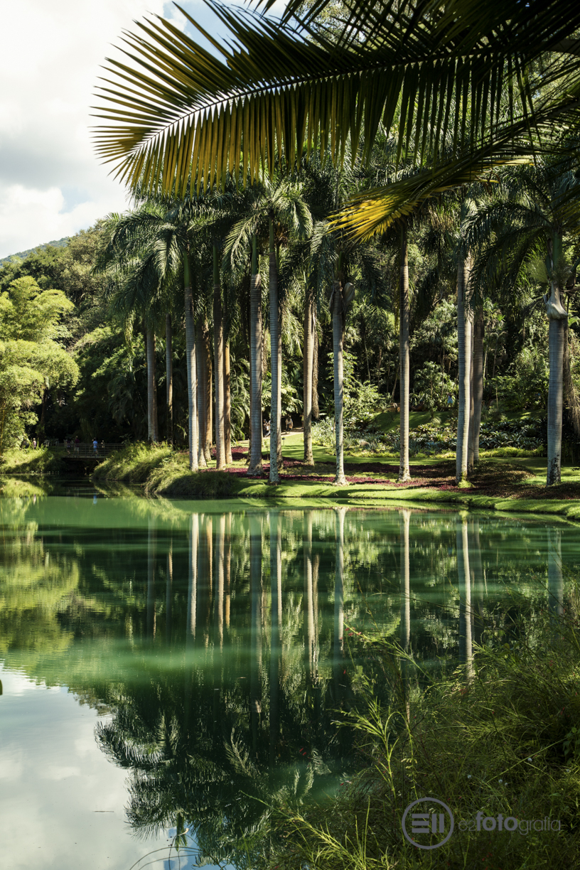 INHOTIM - Museu de Arte Contemporânea