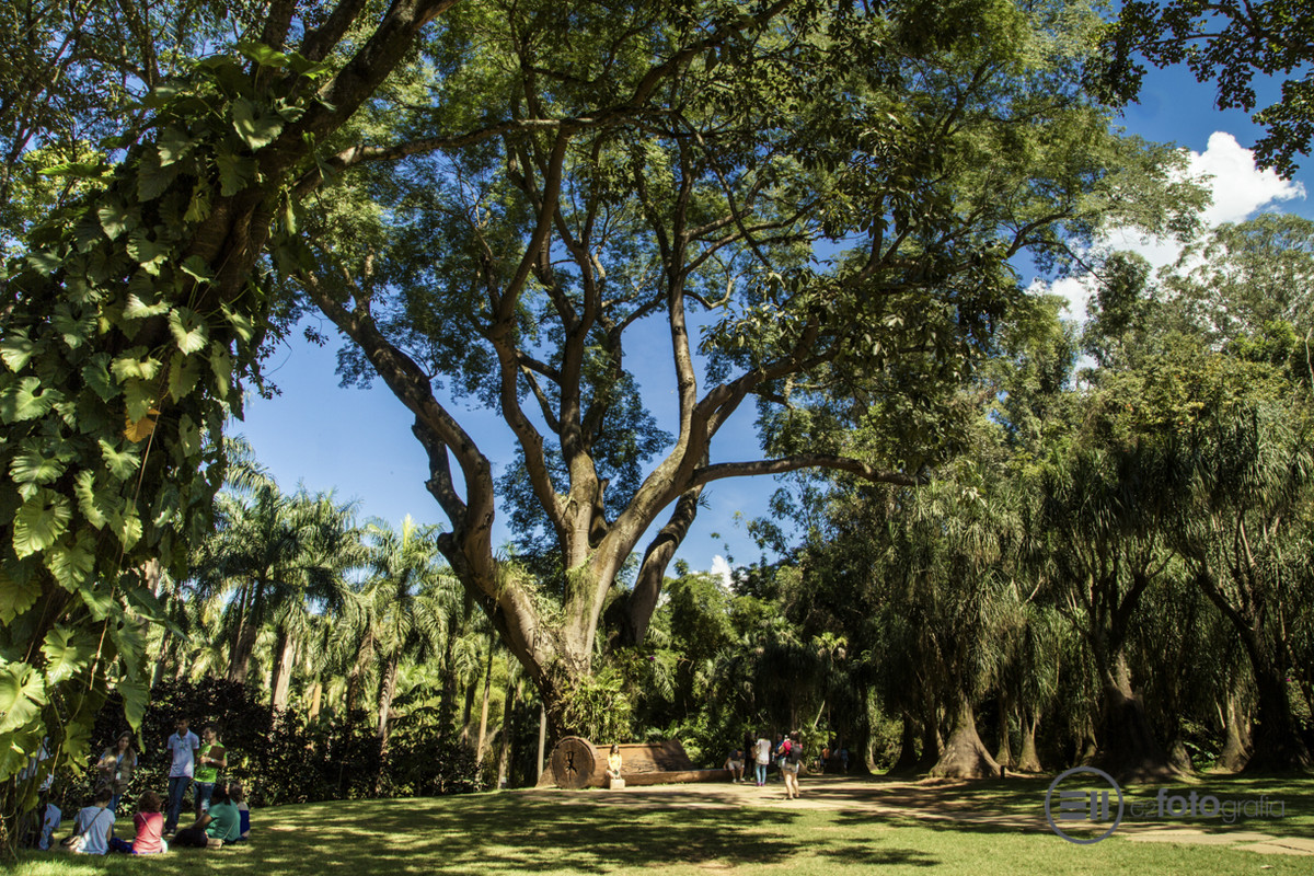 INHOTIM - Museu de Arte Contemporânea