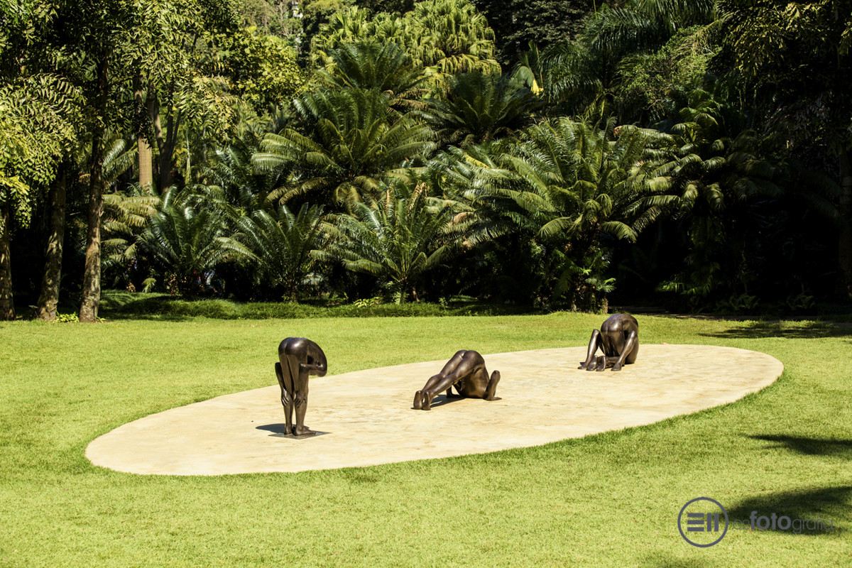 INHOTIM - Museu de Arte Contemporânea