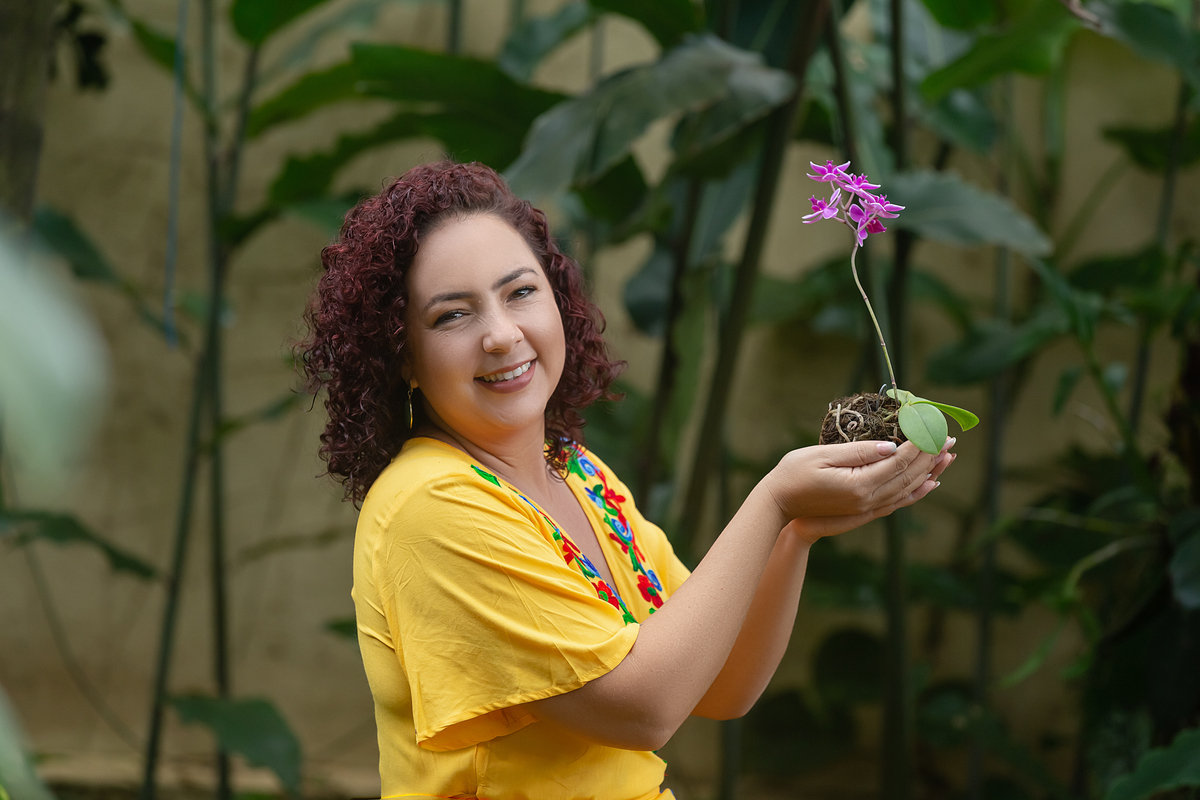 kokedamas porto velho