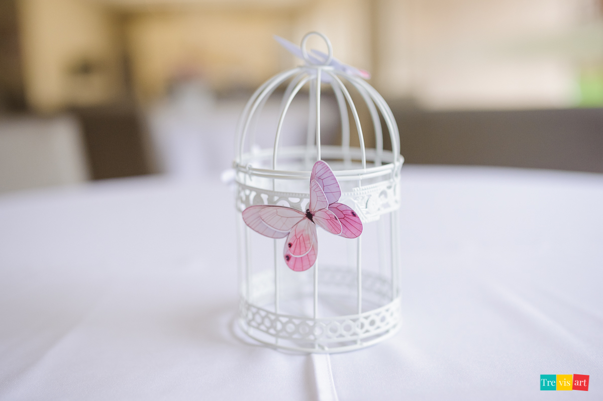 Foto Decoração Festa Infantil Festa De Aniversário Infantil Tema Jardim Das Borboletas