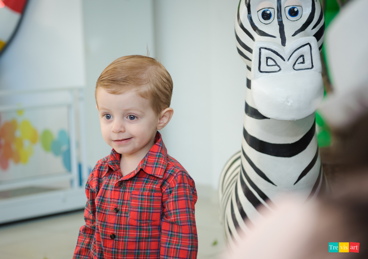 Festa de menino, menino fazendo foto na decoração da festa infantil, ema madagascar