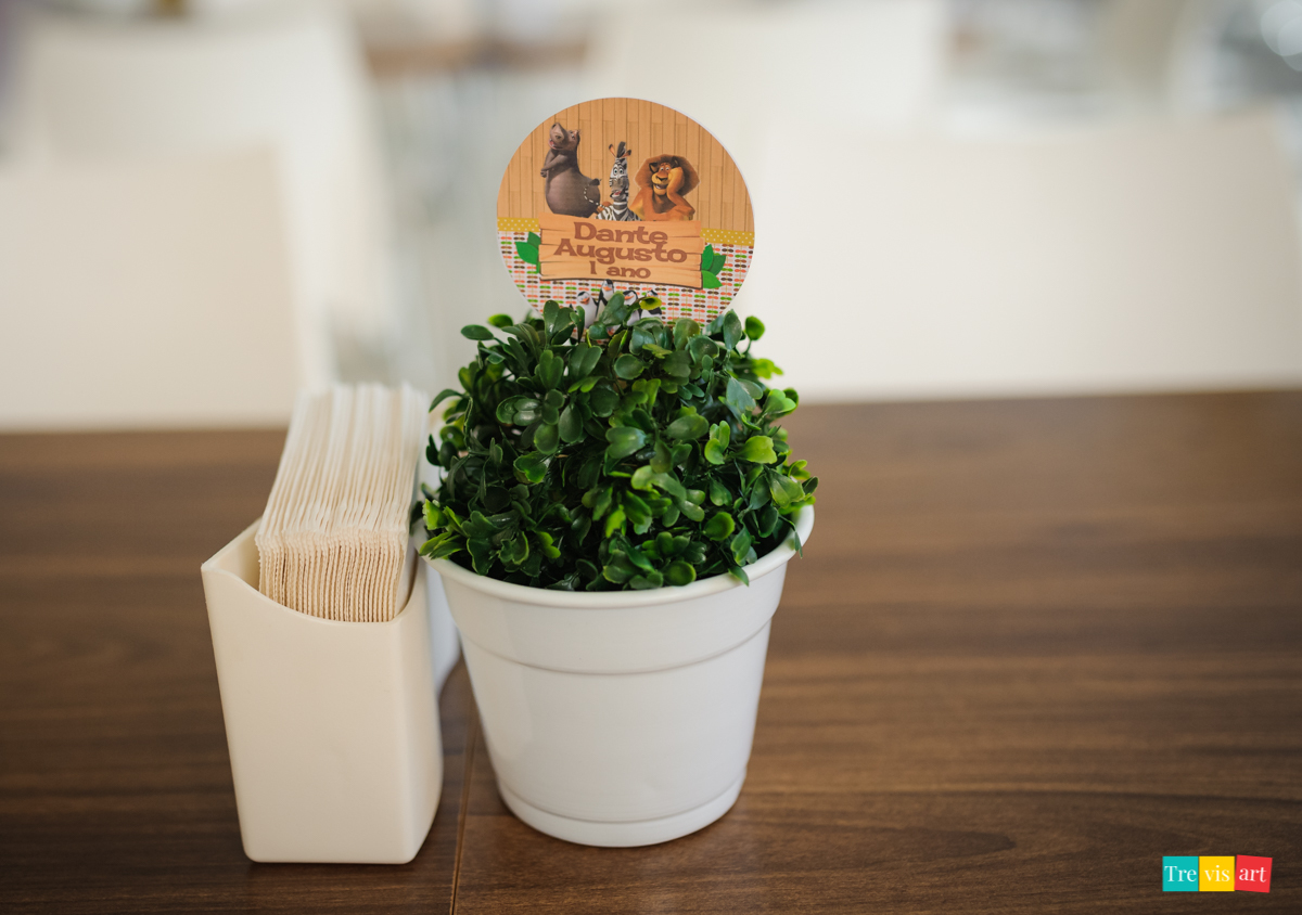 Centro e mesa Mesa aniversário infantil, tema de festa madagascar