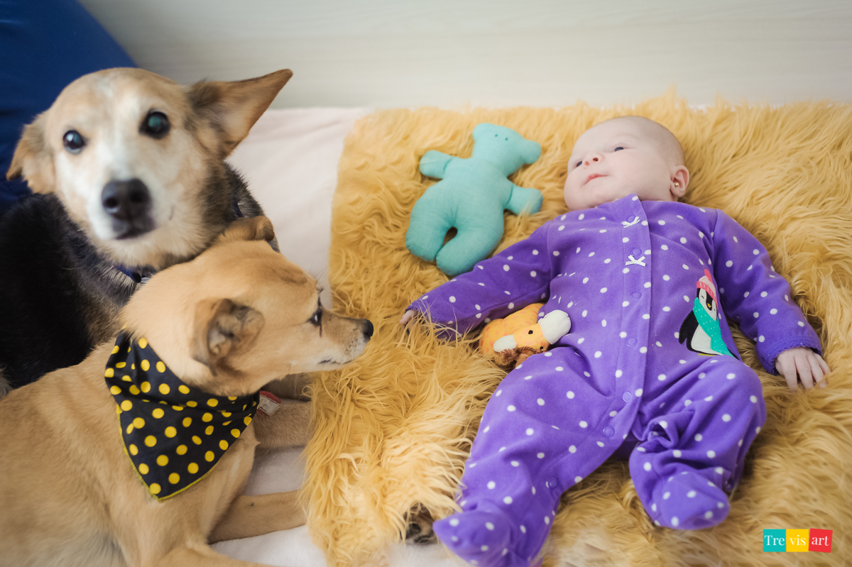 Fotografia de acompanhamento trimestral de bebê com pet cuidando do bebê