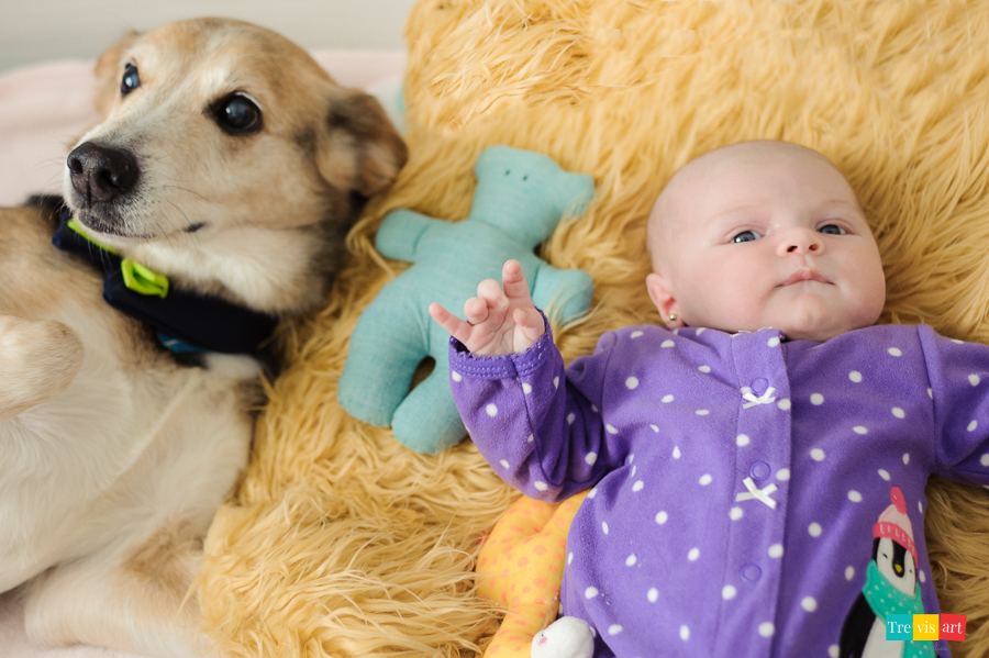 fotos de acompanhamento trimestral de bebê em casa