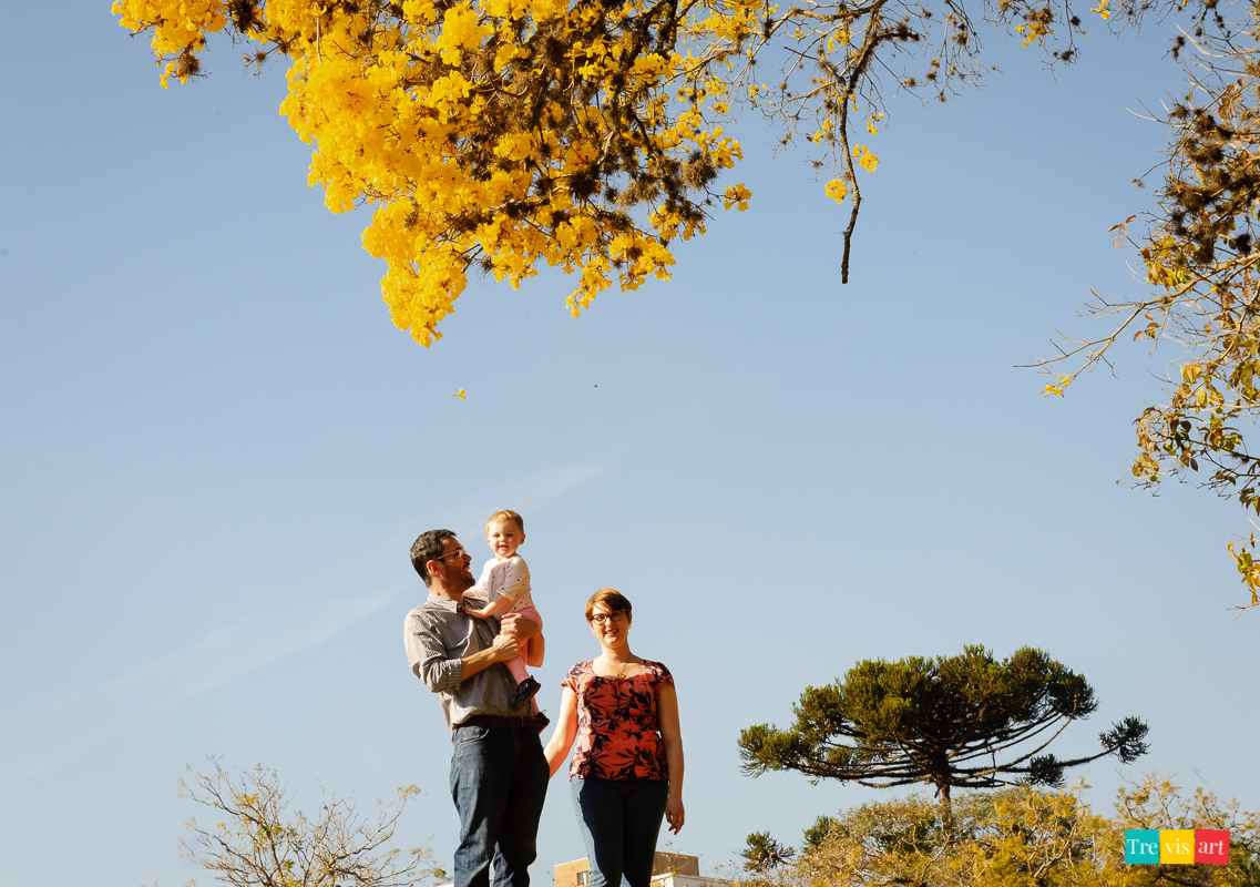ensaio fotografico com cerejeiras no museu do olho em Curitiba