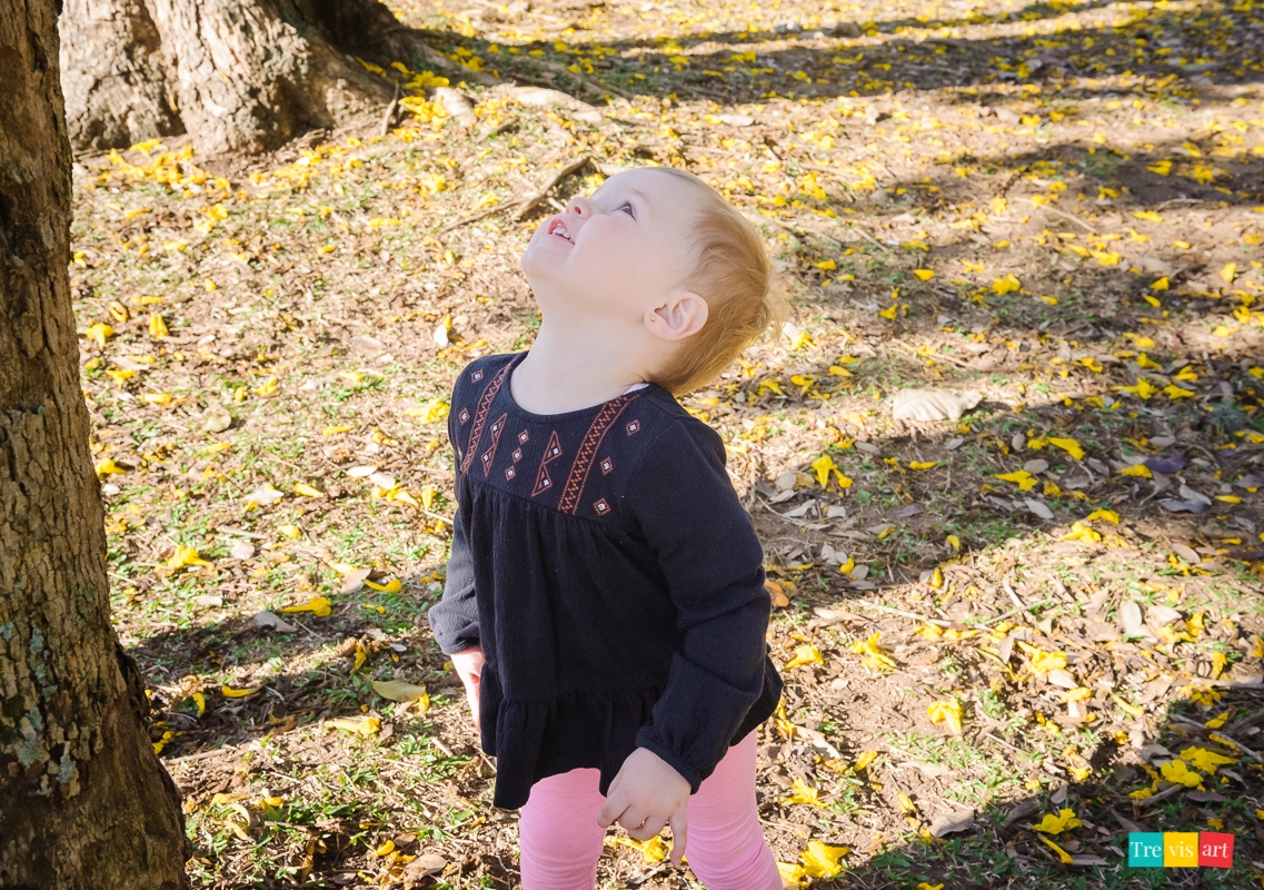 criança brincando com a arvore ensaio fotografico curitiba