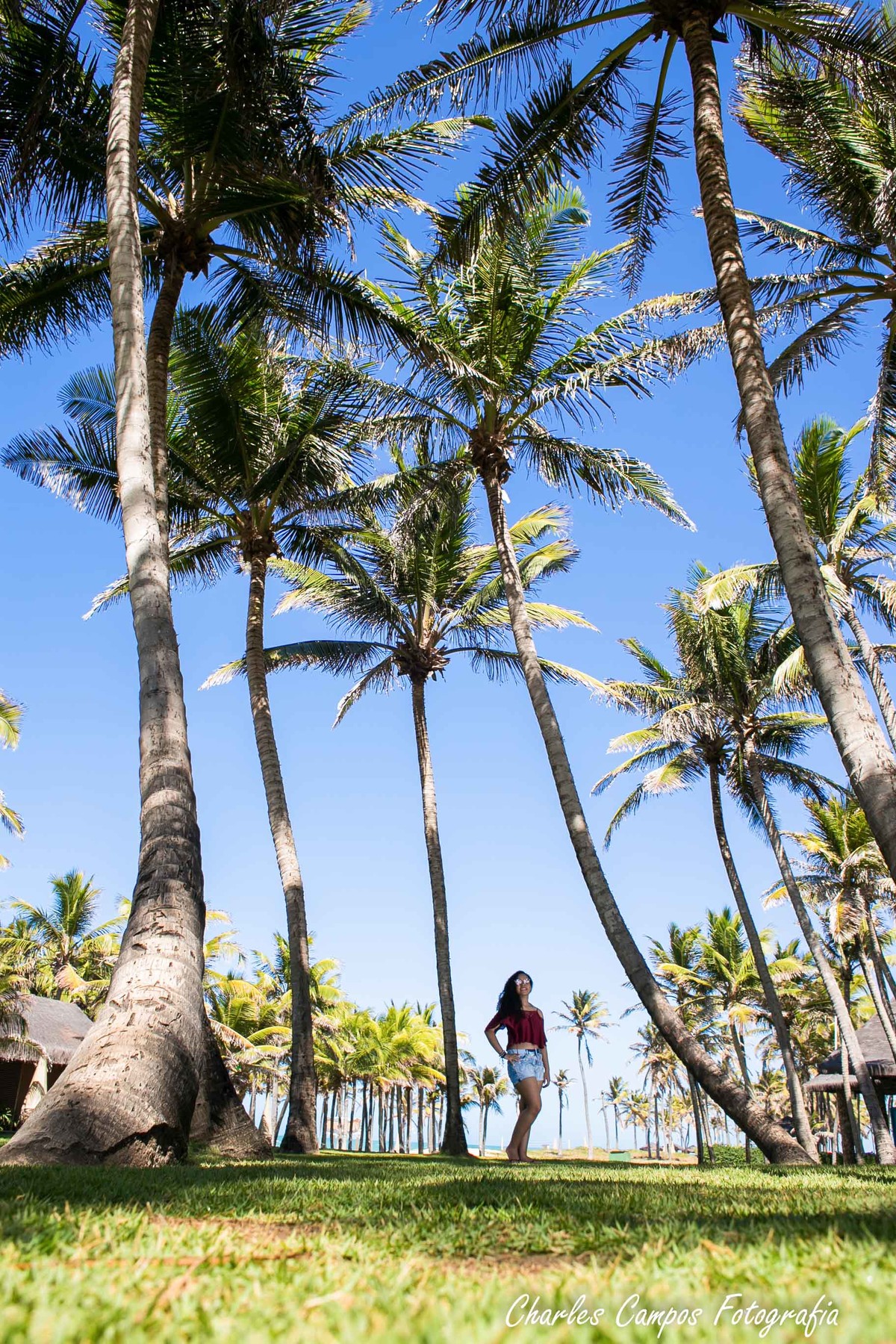 Fotos feitas no jardim do beach park, lindos coqueiros que compõe a paisagem linda daquele lugar.