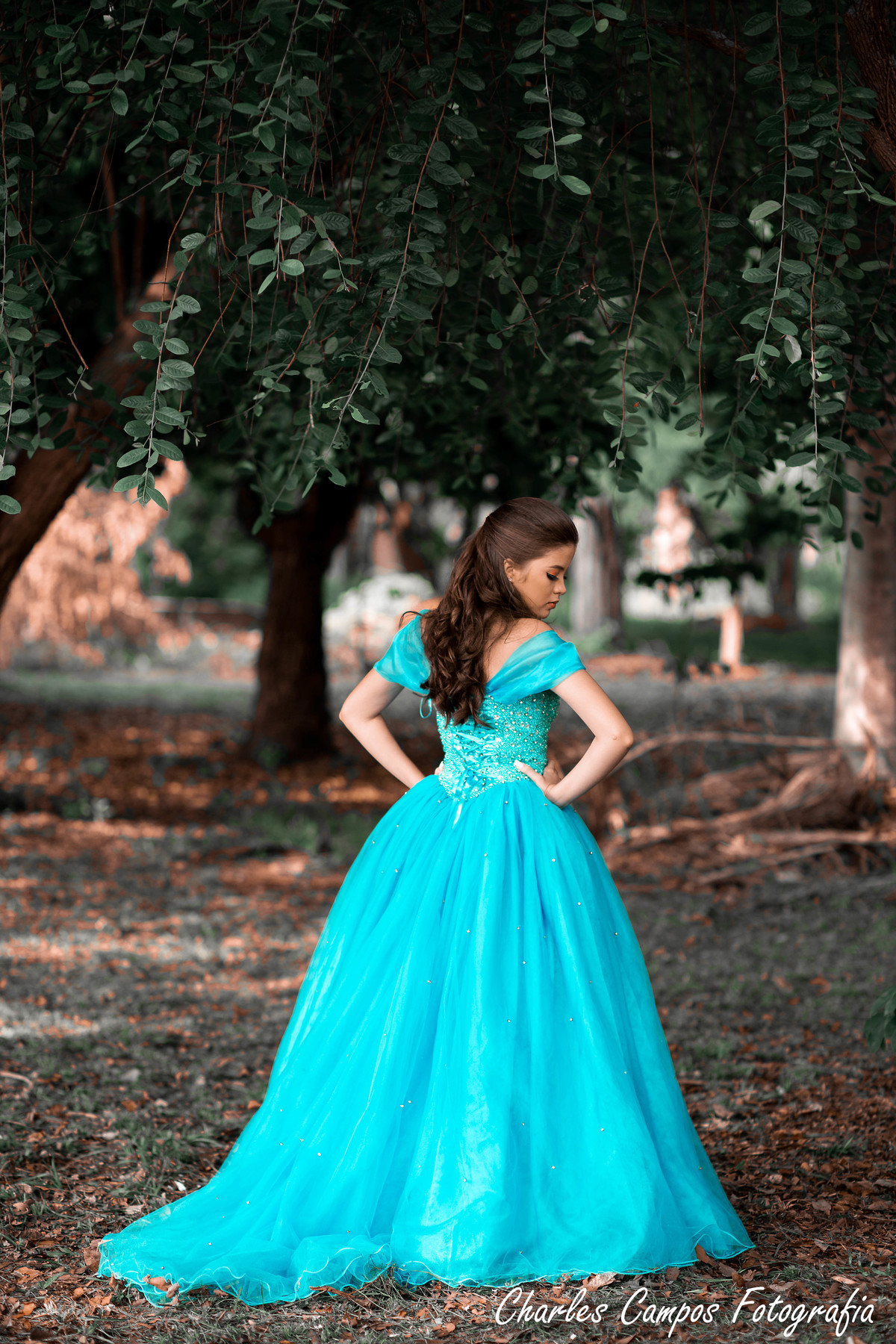 ensaio de 15 anos cinderela