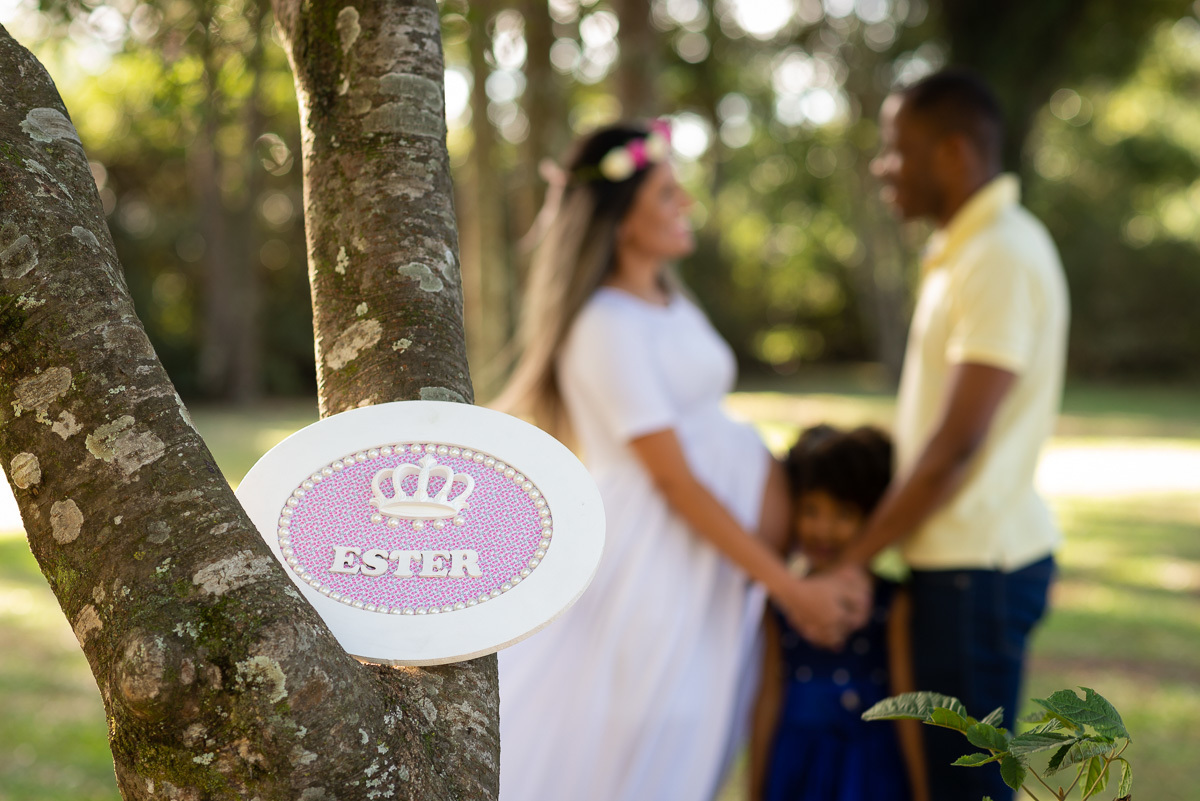 Parque das Araucárias
Guarapuava Paraná.  
Ensaio de Gestante.
Sérgio de Paula Fotografia