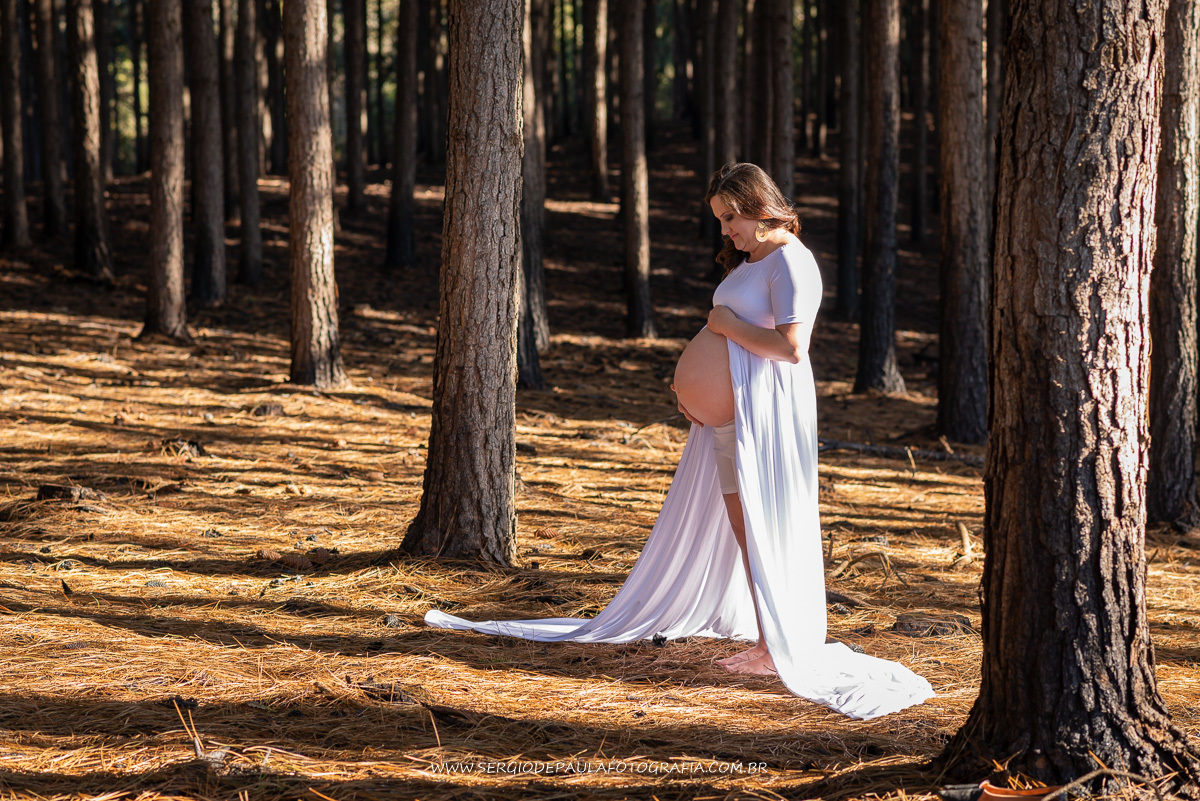 Santuário de Schoenstatt
Guarapuava Paraná.  
Ensaio de Gestante.
Sérgio de Paula Fotografia