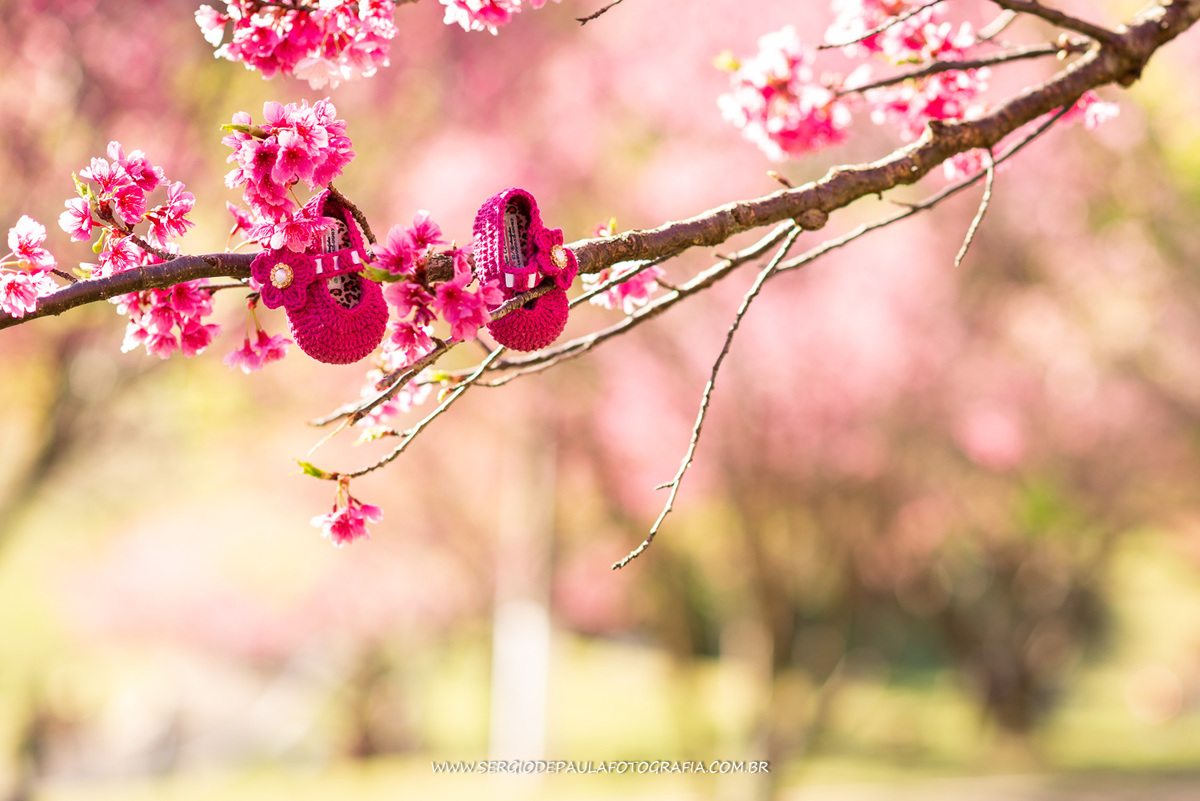 Parque do Lago Cerejeiras
Guarapuava Paraná.  
Ensaio de Gestante.
Sérgio de Paula Fotografia