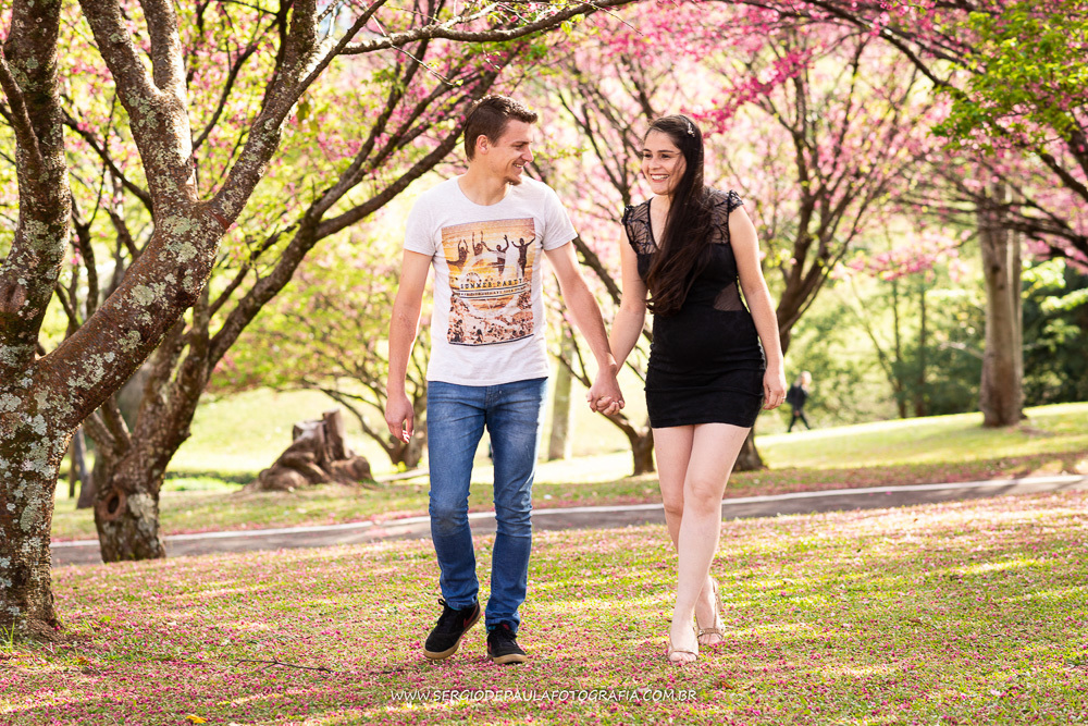 Parque do Lago Cerejeiras
Parque das Araucárias
Guarapuava Paraná.  
Ensaio de Gestante.
Sérgio de Paula Fotografia