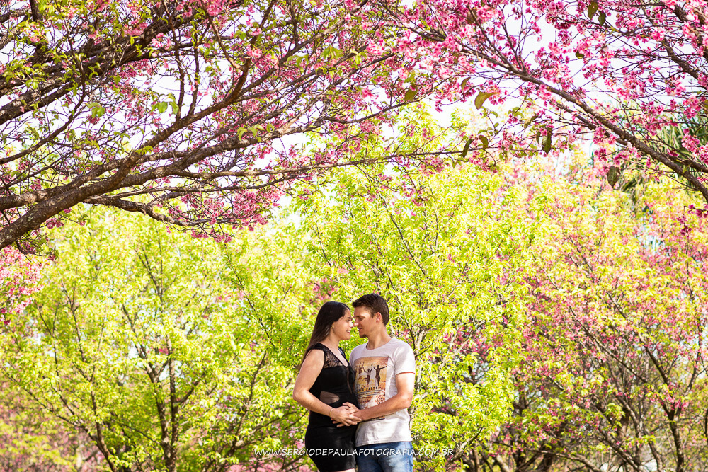 Parque do Lago Cerejeiras
Parque das Araucárias
Guarapuava Paraná.  
Ensaio de Gestante.
Sérgio de Paula Fotografia