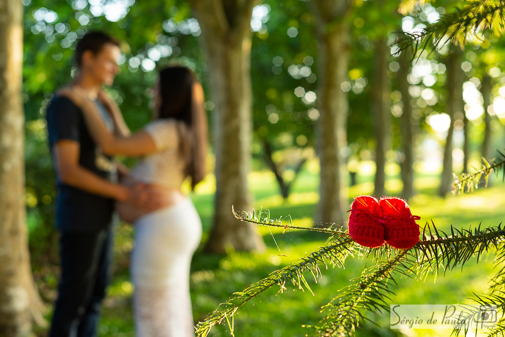 Parque do Lago Cerejeiras
Parque das Araucárias
Guarapuava Paraná.  
Ensaio de Gestante.
Sérgio de Paula Fotografia