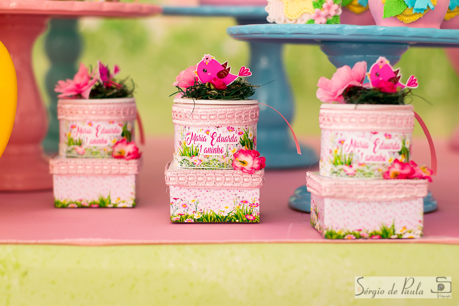 Salão Adoletta Festas
Guarapuava Paraná.  
aniversário infantil.
Sérgio de Paula Fotografia
Aniversário Infantil Jardim Florido
Festa Infantil Flores 