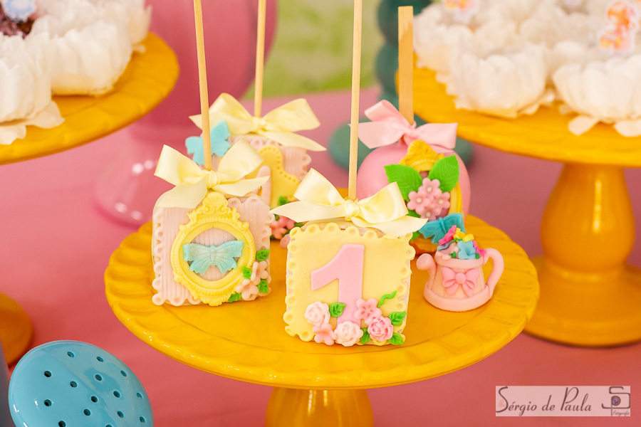 Salão Adoletta Festas
Guarapuava Paraná.  
aniversário infantil.
Sérgio de Paula Fotografia
Aniversário Infantil Jardim Florido
Festa Infantil Flores 