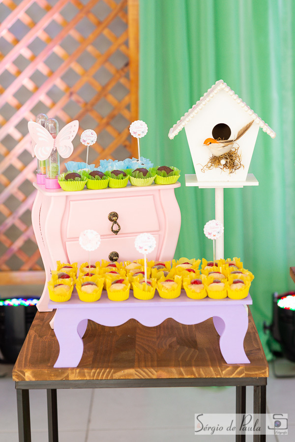 Pirueta Diversões Salão de festas infantis Guarapuava Paraná.  aniversário infantil.
Sérgio de Paula Fotografia
Decoração Borboleta
Aniversário Infantil Jardim das Borboletas