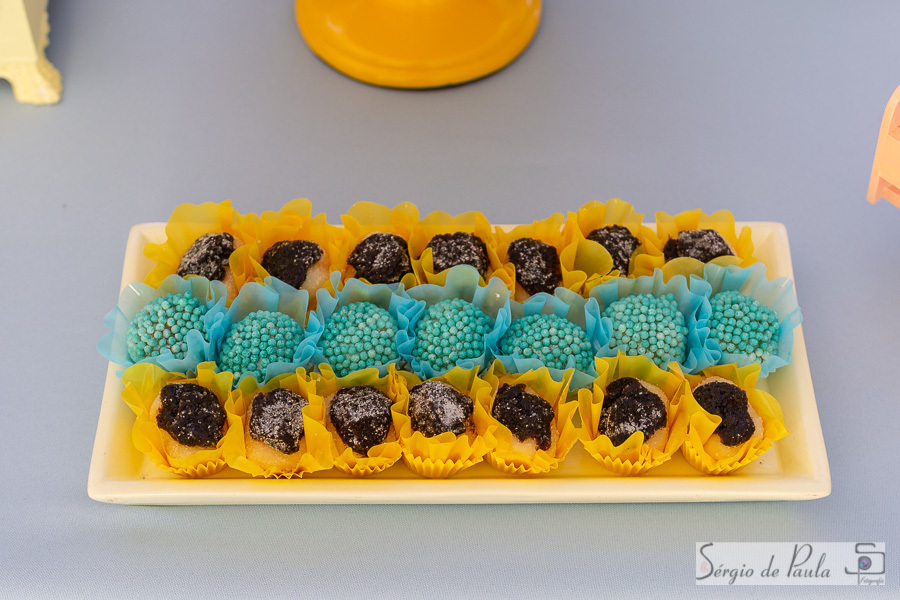 Pirueta Diversões Salão de festas infantis Guarapuava Paraná.  aniversário infantil.
Sérgio de Paula Fotografia
Decoração Circo
Aniversário Infantil Circo