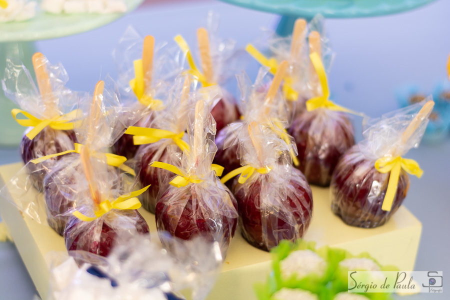 Pirueta Diversões Salão de festas infantis Guarapuava Paraná.  aniversário infantil.
Sérgio de Paula Fotografia
Decoração Circo
Aniversário Infantil Circo