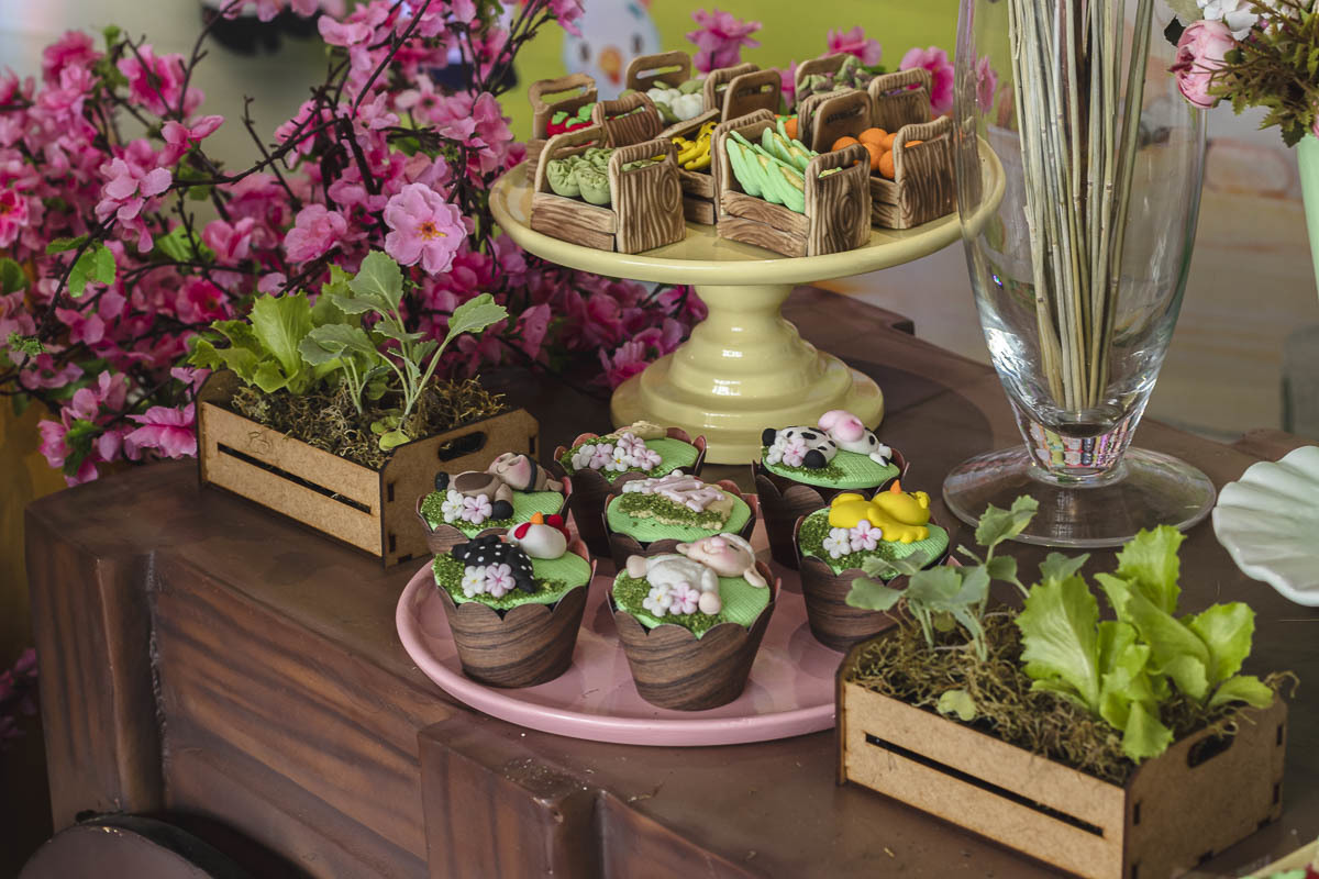 decoração de festa infantil com tema de fazendinha