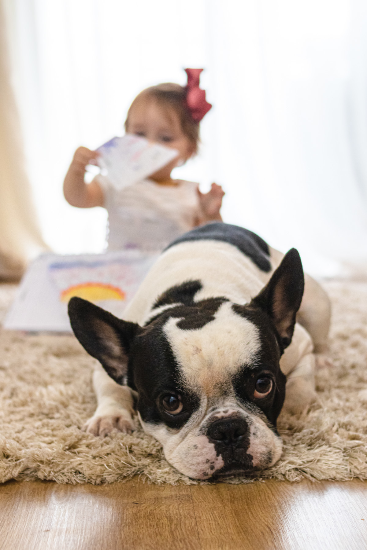 menina desenhando no chão da sala de casa e cachorro olhando