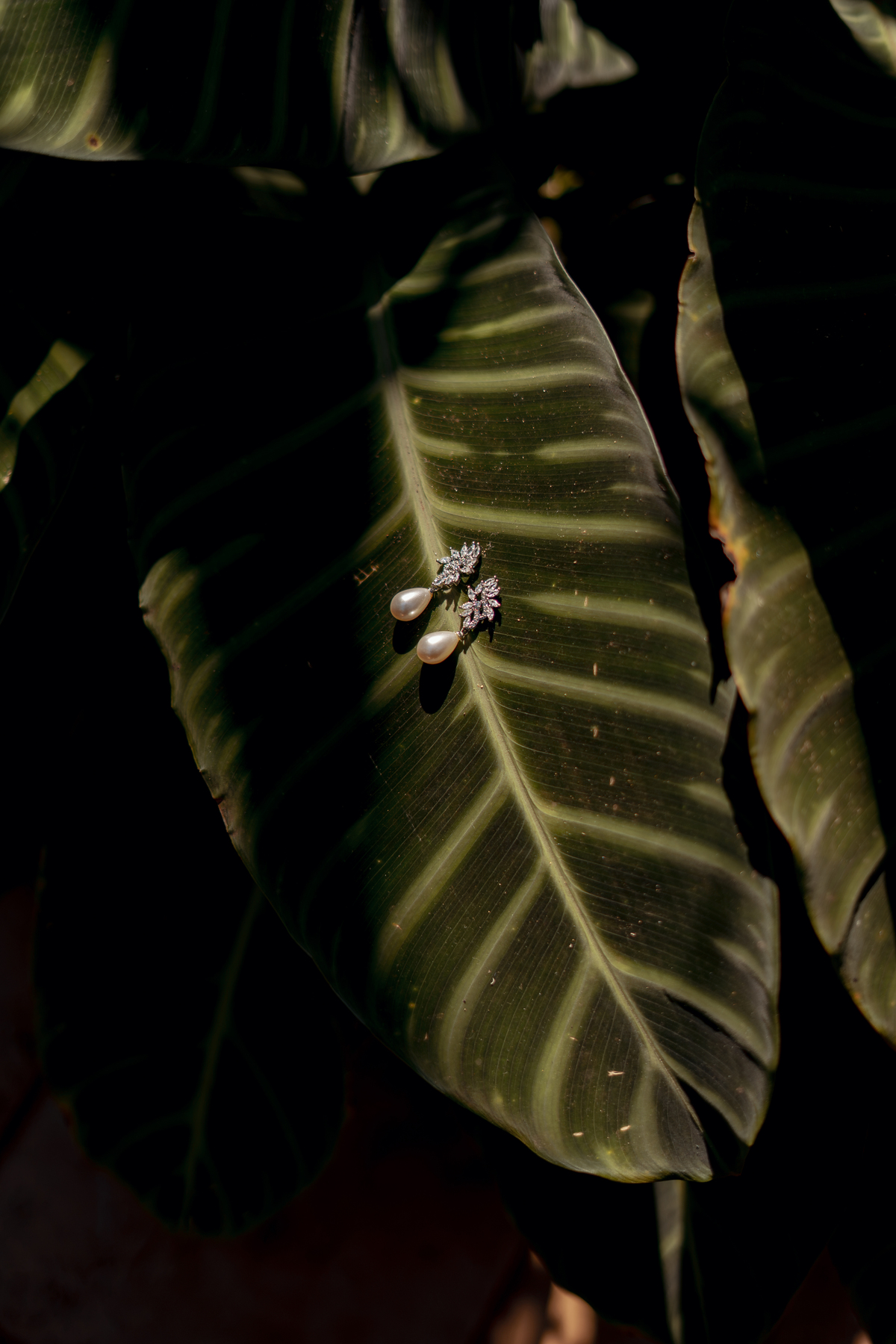 Elemento na Fazenda A Querência