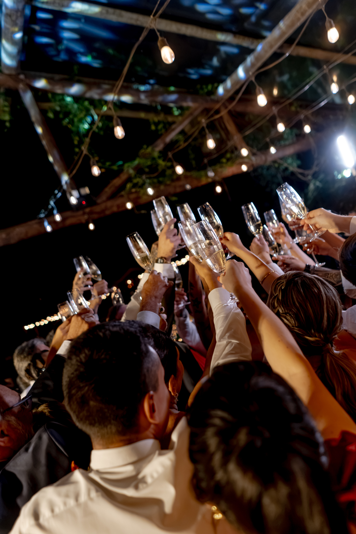 Convidados levantando as taças durante a celebração, em um momento de alegria da festa de casamento na Fazenda Vila dos Eucaliptos.