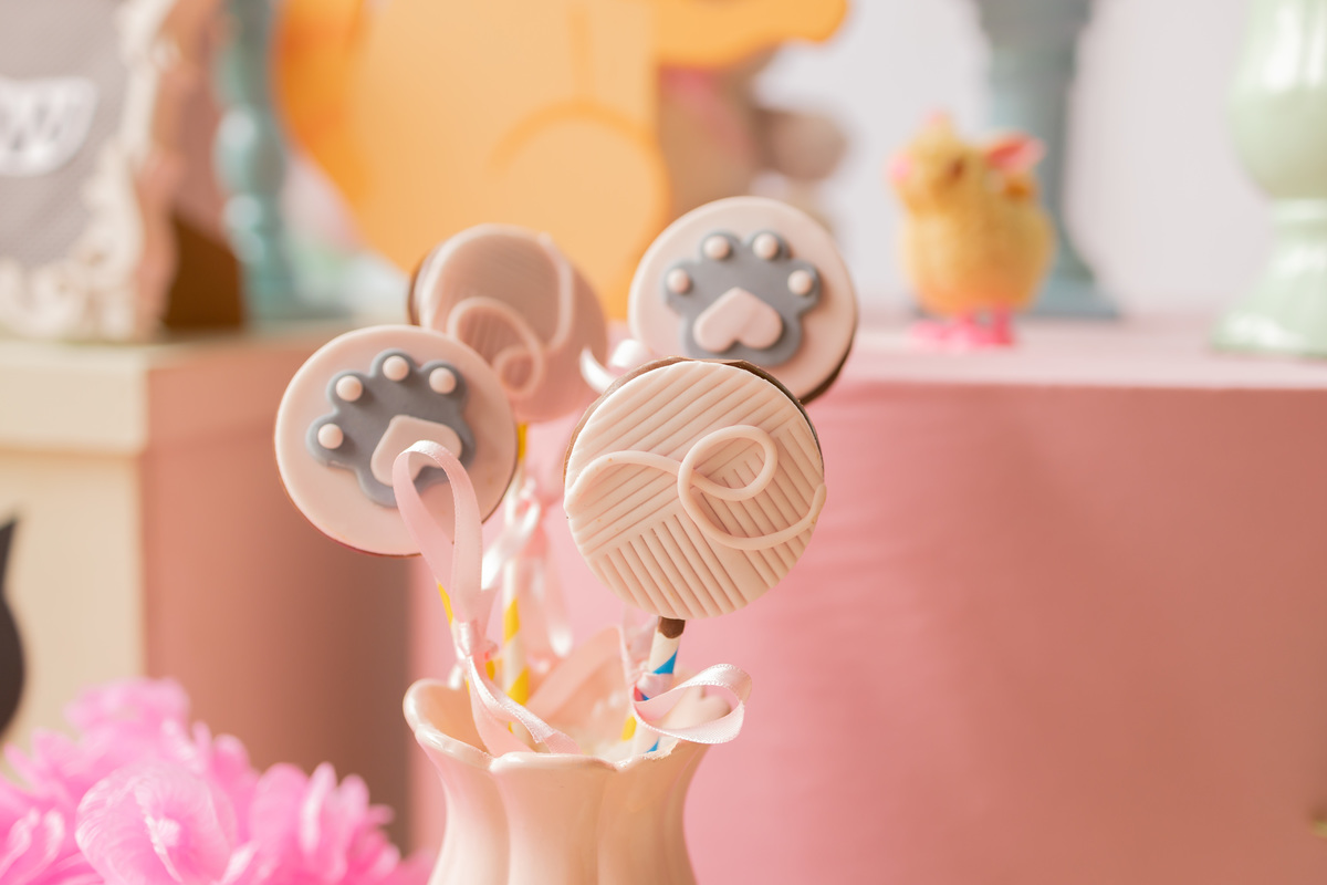 fotógrafo infantil bauru, fotografia infantil, decoração gatinho, decoração cat