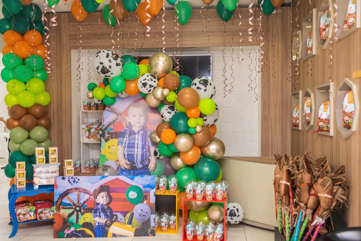 Buffet Space Bauru, fotógrafo infantil Bauru, fotógrafo festa infantil bauru, decoração fazendinha
