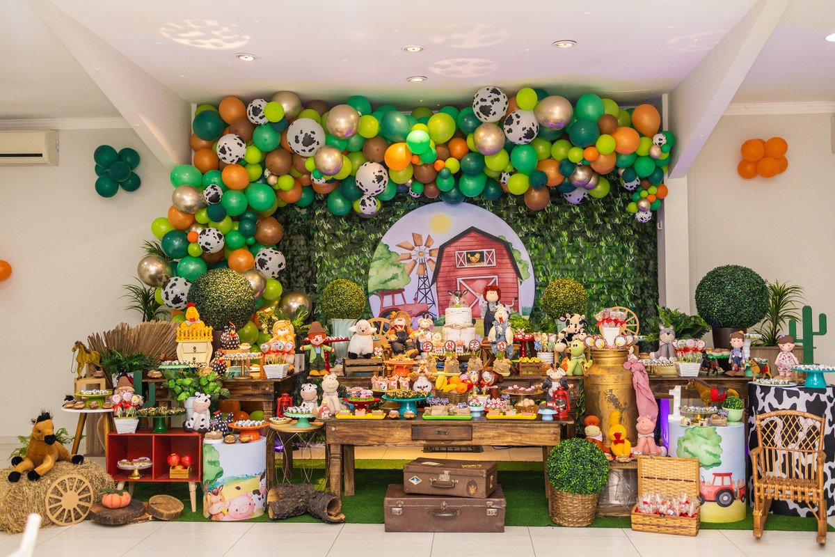 Buffet Space Bauru, fotógrafo infantil Bauru, fotógrafo festa infantil bauru, decoração fazenda