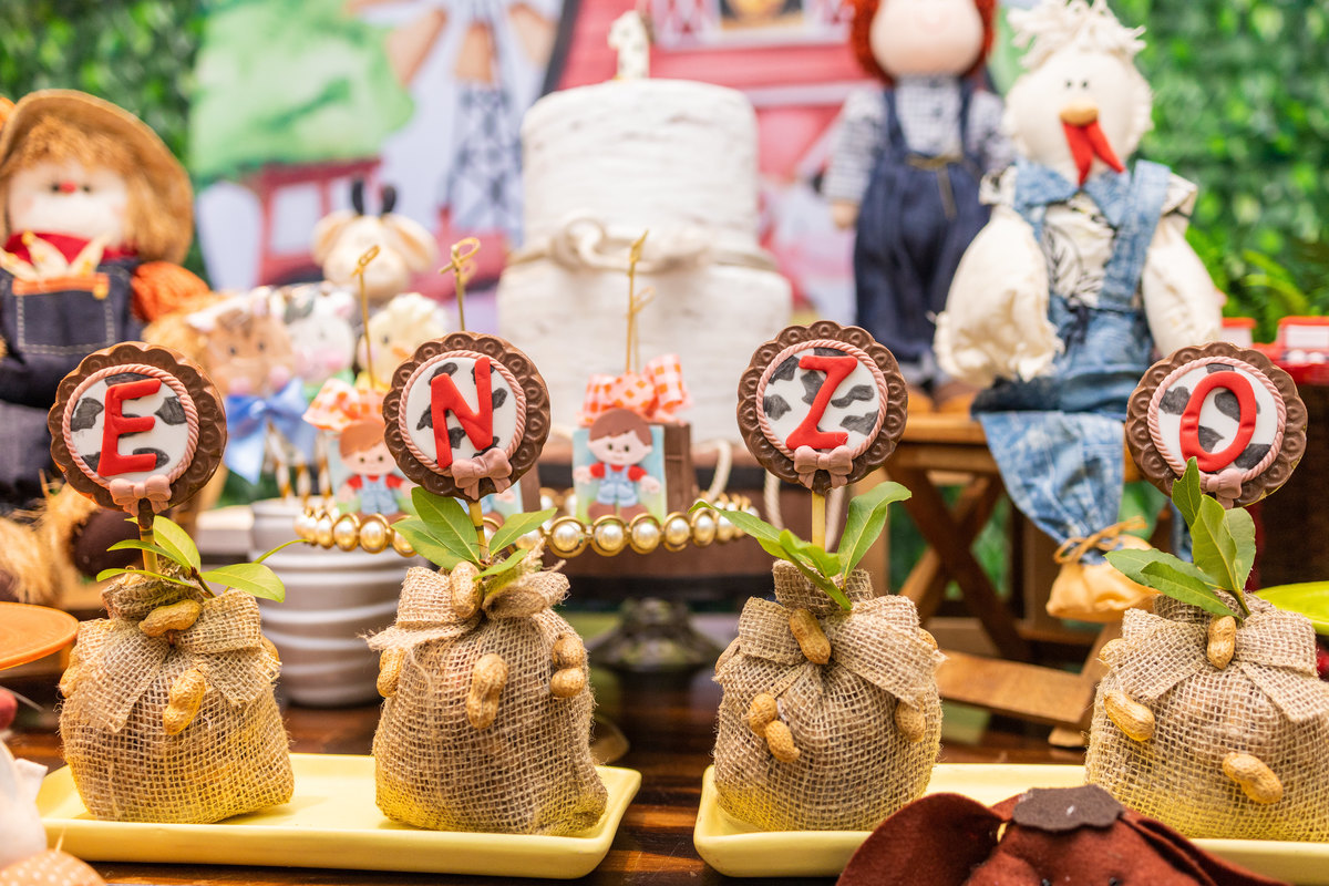 Buffet Space Bauru, fotógrafo infantil Bauru, fotógrafo festa infantil bauru, pirulitos personalizados fazenda