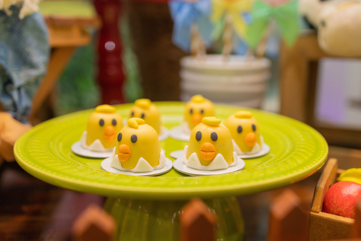 Buffet Space Bauru, fotógrafo infantil Bauru, fotógrafo festa infantil bauru, bombons personalizados fazenda