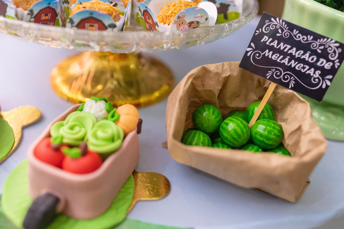 Buffet Space Bauru, fotógrafo infantil Bauru, fotógrafo festa infantil bauru, doces personalizados fazenda