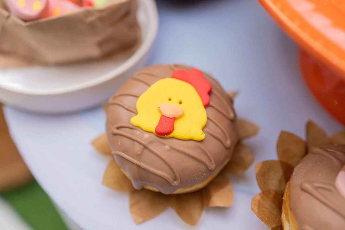 Buffet Space Bauru, fotógrafo infantil Bauru, fotógrafo festa infantil bauru, donuts personalizado fazenda
