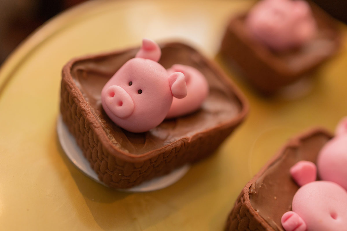 Buffet Space Bauru, fotógrafo infantil Bauru, fotógrafo festa infantil bauru, doce personalizado fazenda