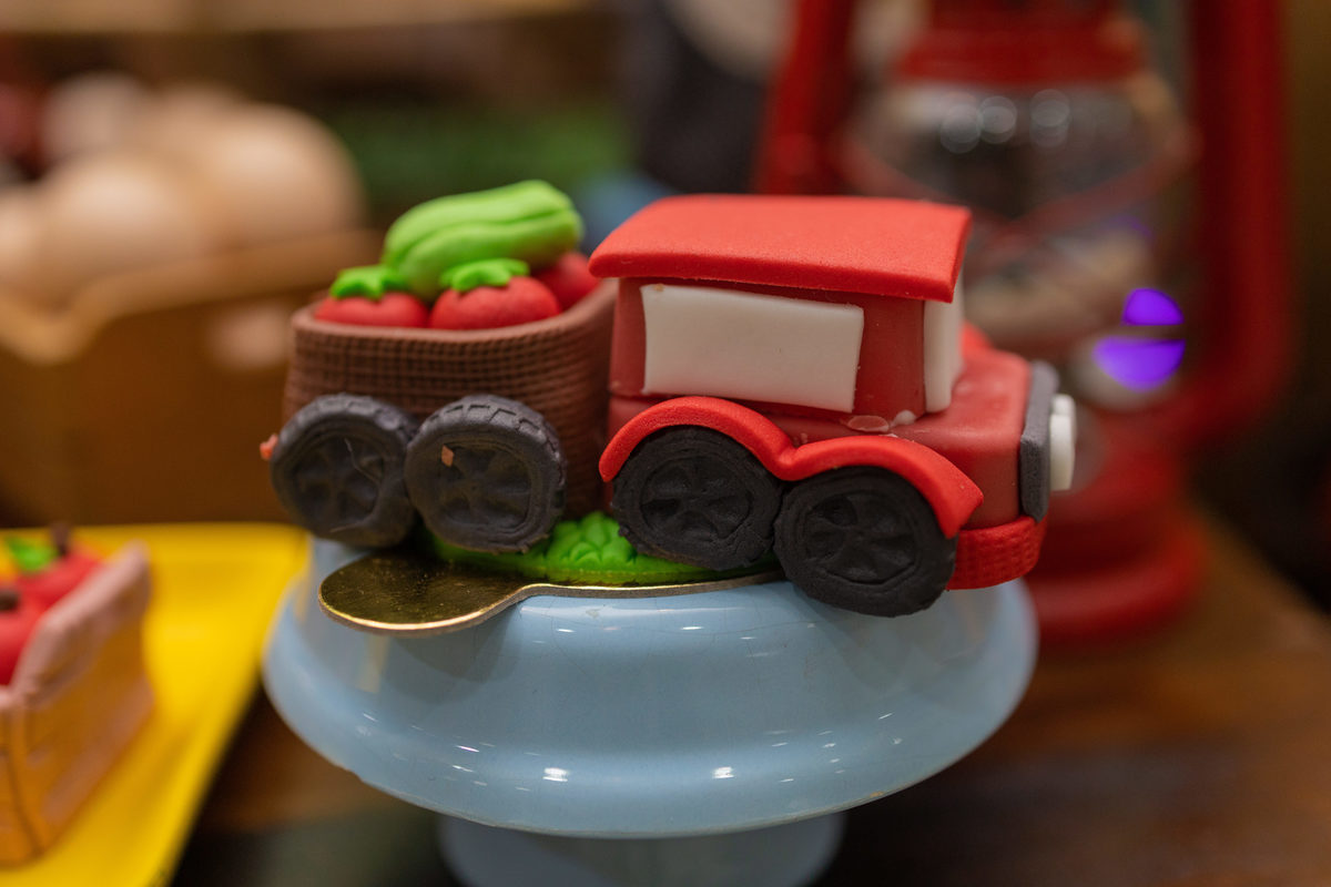 Buffet Space Bauru, fotógrafo infantil Bauru, fotógrafo festa infantil bauru, doce personalizado tema fazendinha