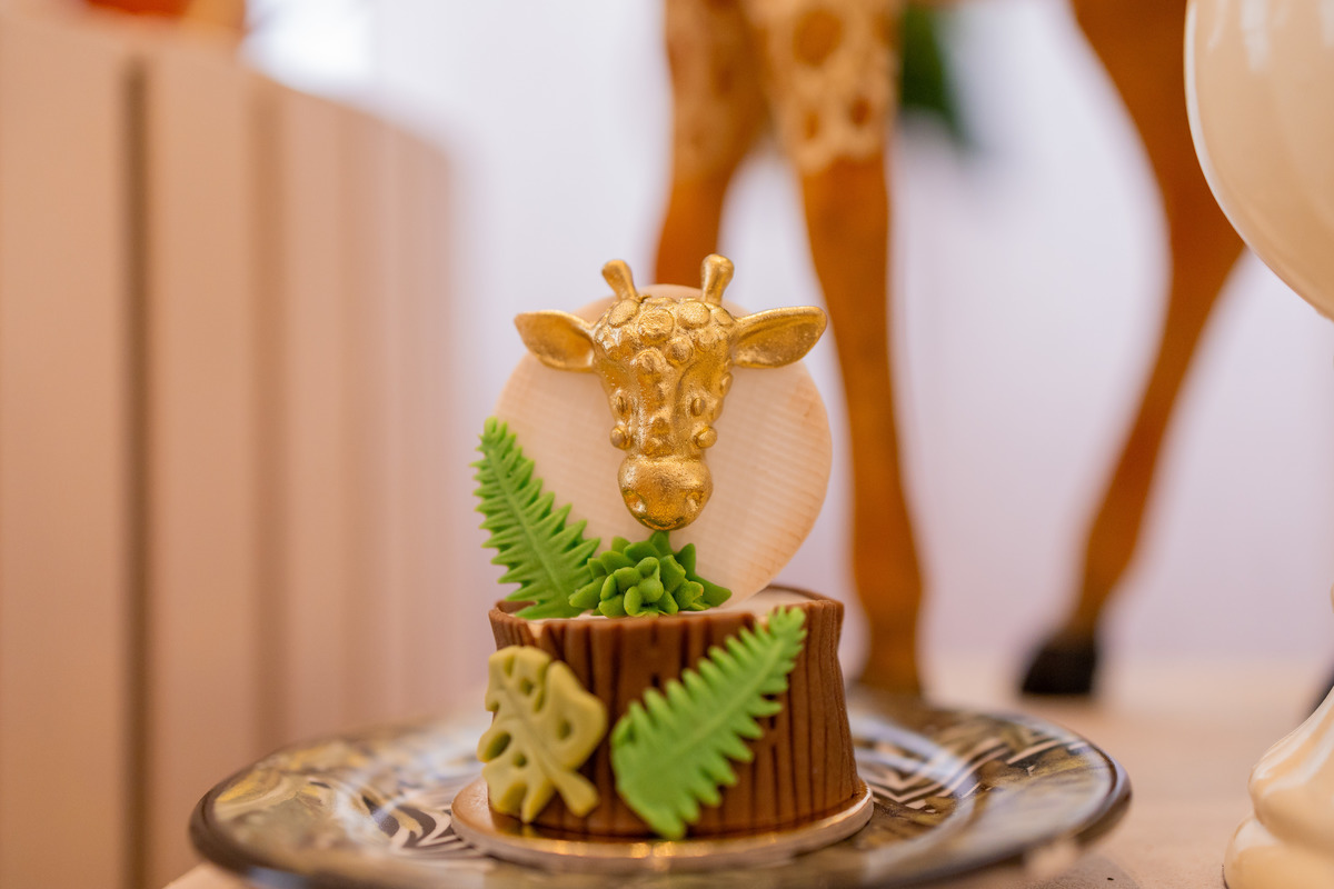 Edifício Santorini Bauru, aniversário infantil bauru, fotógrafo infantil bauru, estúdio fotográfico infantil bauru, joão bueno fotografia, fotografia de família, aniversário safari