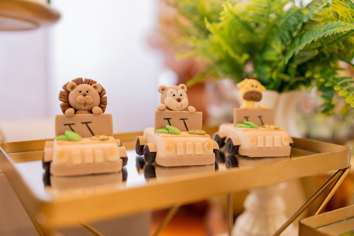 Edifício Santorini Bauru, aniversário infantil bauru, fotógrafo infantil bauru, estúdio fotográfico infantil bauru, joão bueno fotografia, fotografia de família, aniversário safari