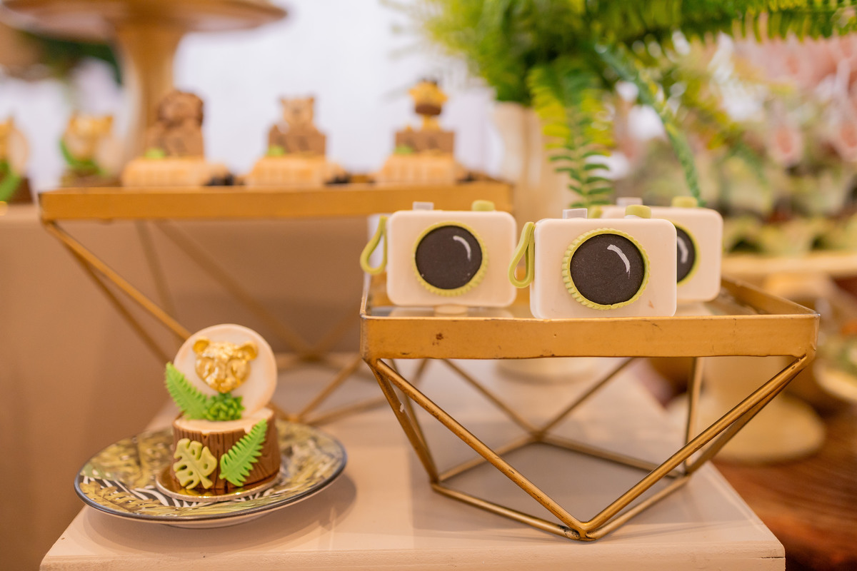 Edifício Santorini Bauru, aniversário infantil bauru, fotógrafo infantil bauru, estúdio fotográfico infantil bauru, joão bueno fotografia, fotografia de família, aniversário safari