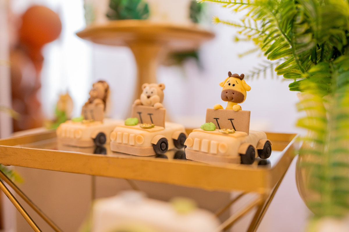 Edifício Santorini Bauru, aniversário infantil bauru, fotógrafo infantil bauru, estúdio fotográfico infantil bauru, joão bueno fotografia, fotografia de família, aniversário safari