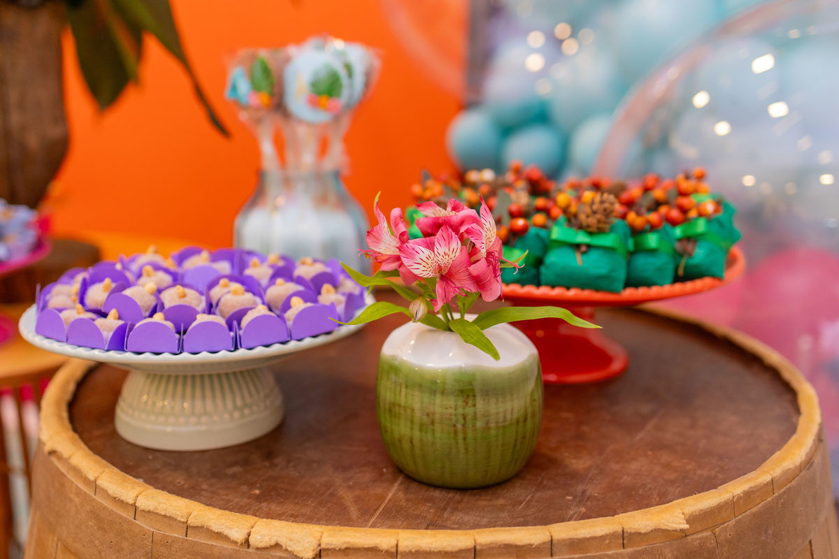 aniversário infantil tema Moana, fotografo em bauru, festa infantil bauru, buffet kolore bauru, doces personalizados moana