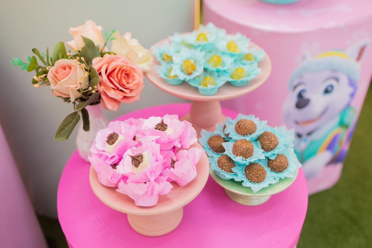 aniversario infantil bauru, decoração patrulha canina rosa, buffet zappteen bauru, fotografo bauru, fotografo festa infantil em bauru