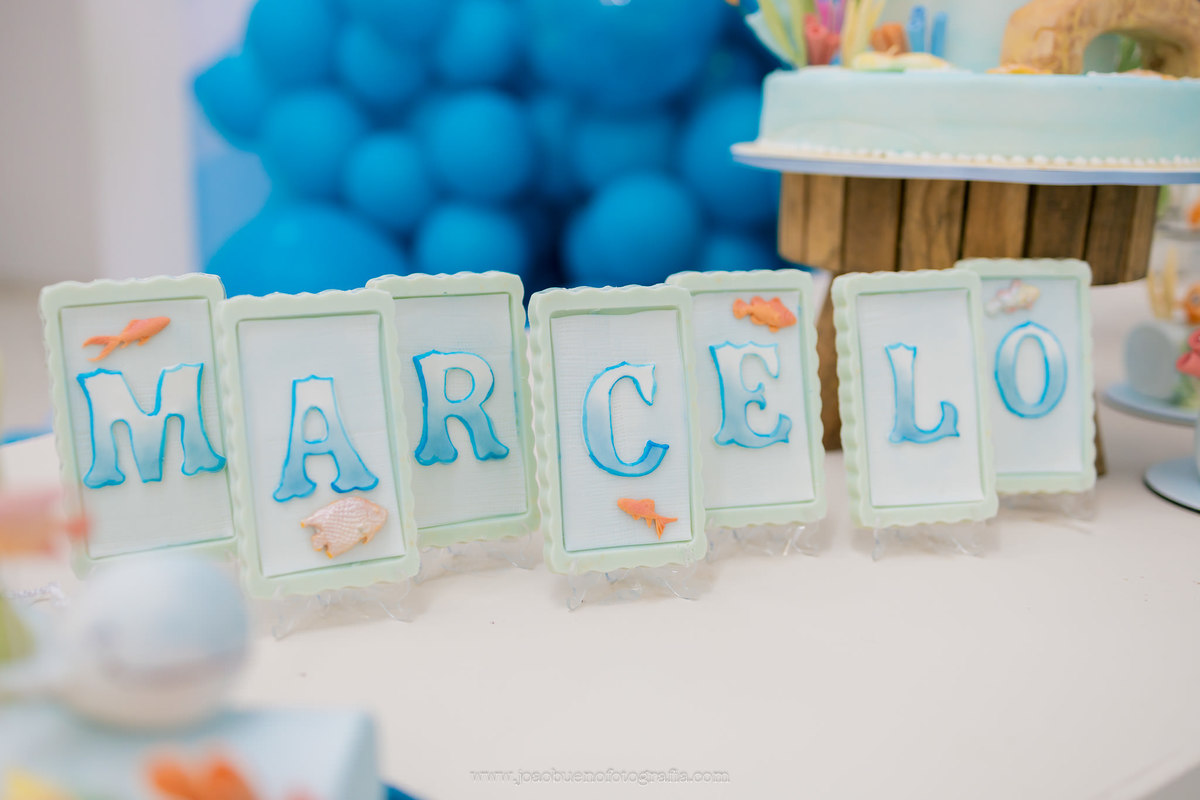 aniversário infantil tema pesca, aniversário tema pescador, decoradora em bauru, fotografo infantil em bauru, buffet zappteen, doces personalizados tema pescador