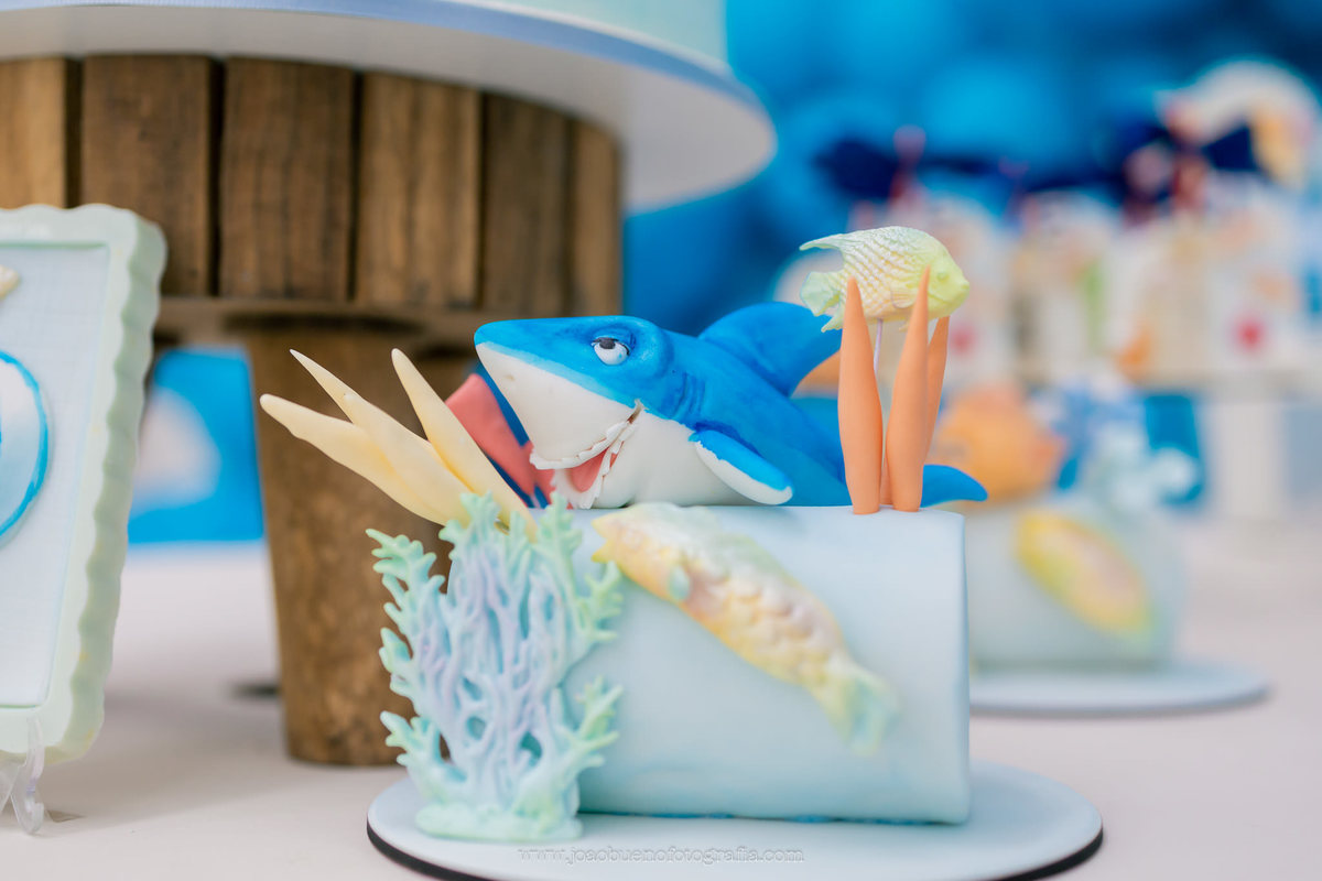 aniversário infantil tema pesca, aniversário tema pescador, decoradora em bauru, fotografo infantil em bauru, buffet zappteen, doces personalizados tema pescador