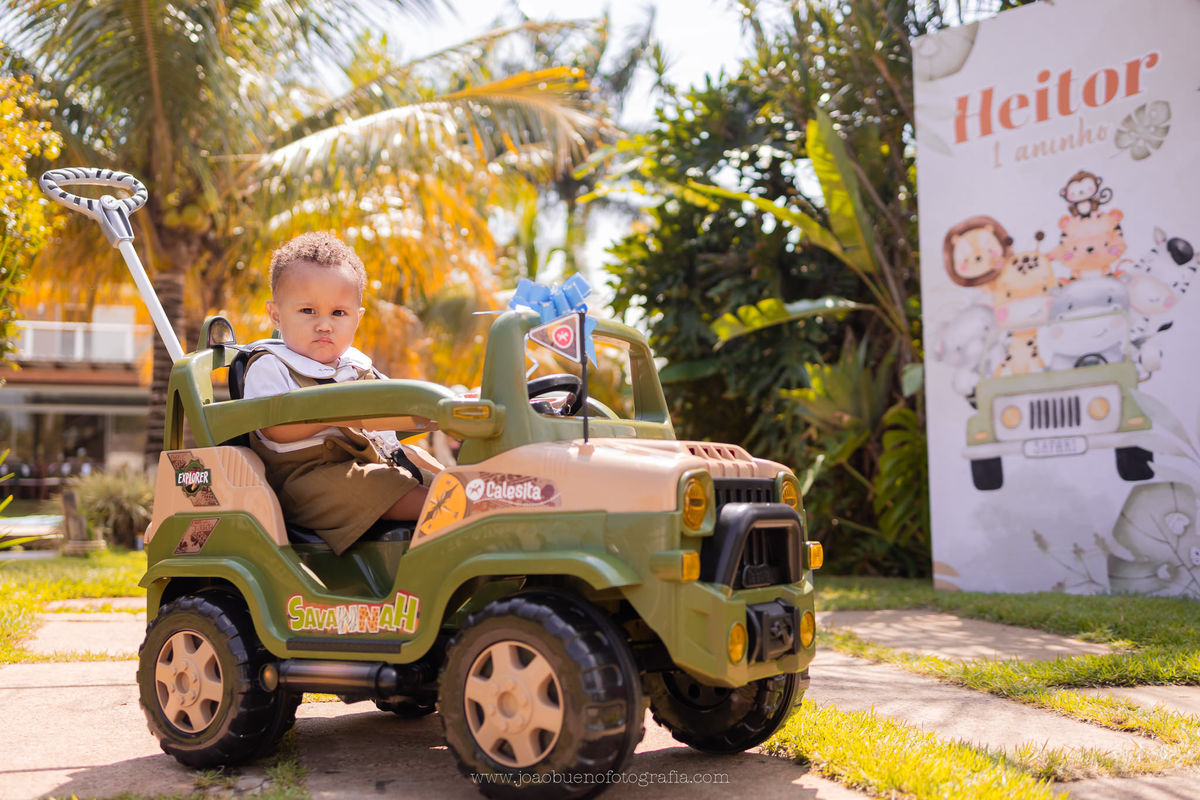aniversário infantil em bauru, fotógrafo festa infantil em bauru, festa em lugar aberto, festa tema safari de menino, decoração tema safari