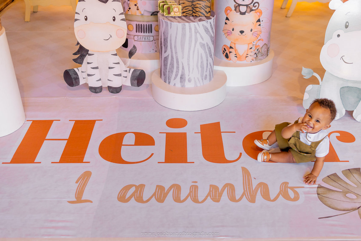 aniversário infantil em bauru, fotógrafo festa infantil em bauru, festa em lugar aberto, festa tema safari de menino, decoração tema safari